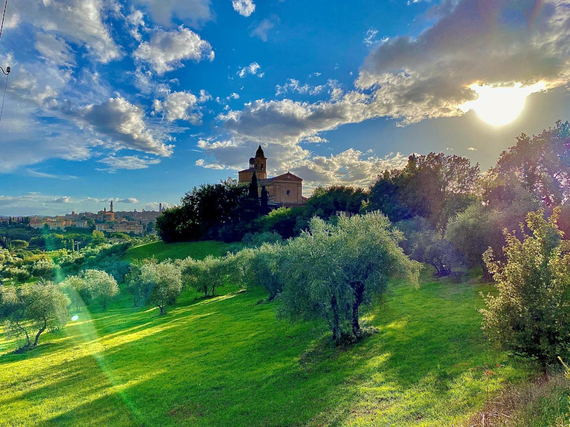 Palazzo Del Papa Country Suites Siena Eksteriør bilde